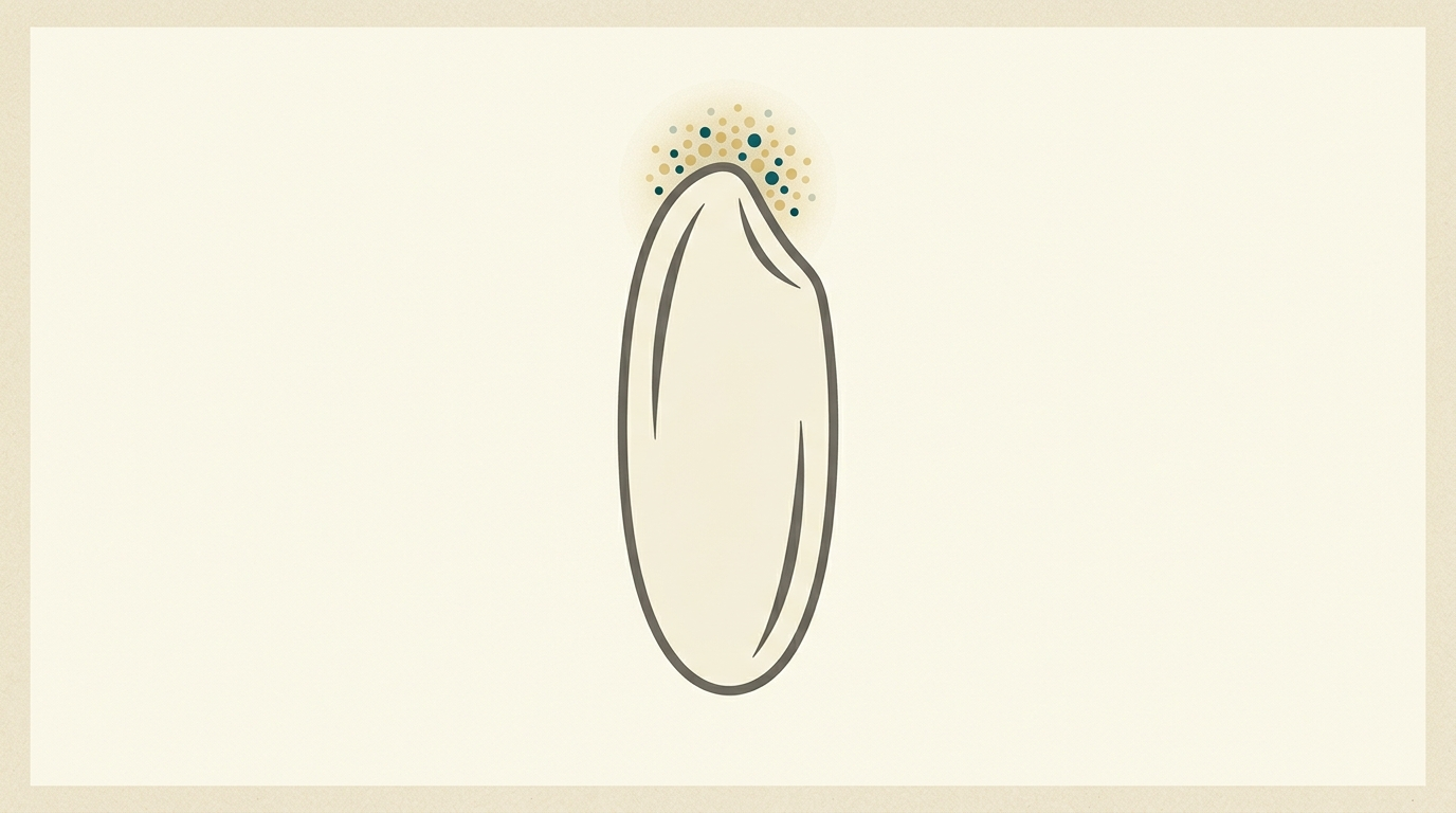 A Brain the Size of a Grain of Rice